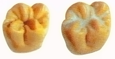 ʲôѹգ