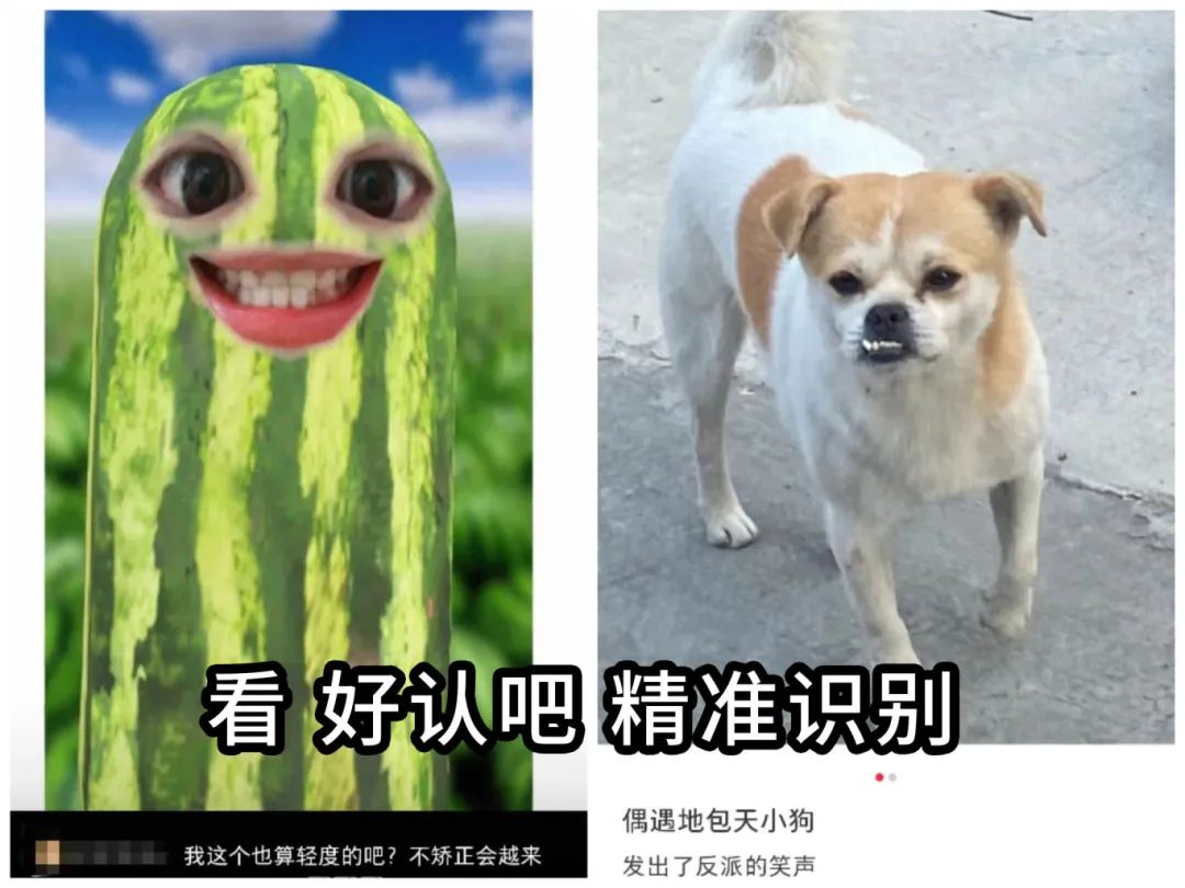ͼƬ